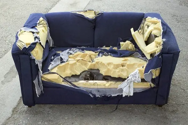 Furniture Removal Furniture Removal