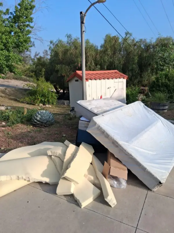 Professional Junk Haulers Professional Junk Haulers